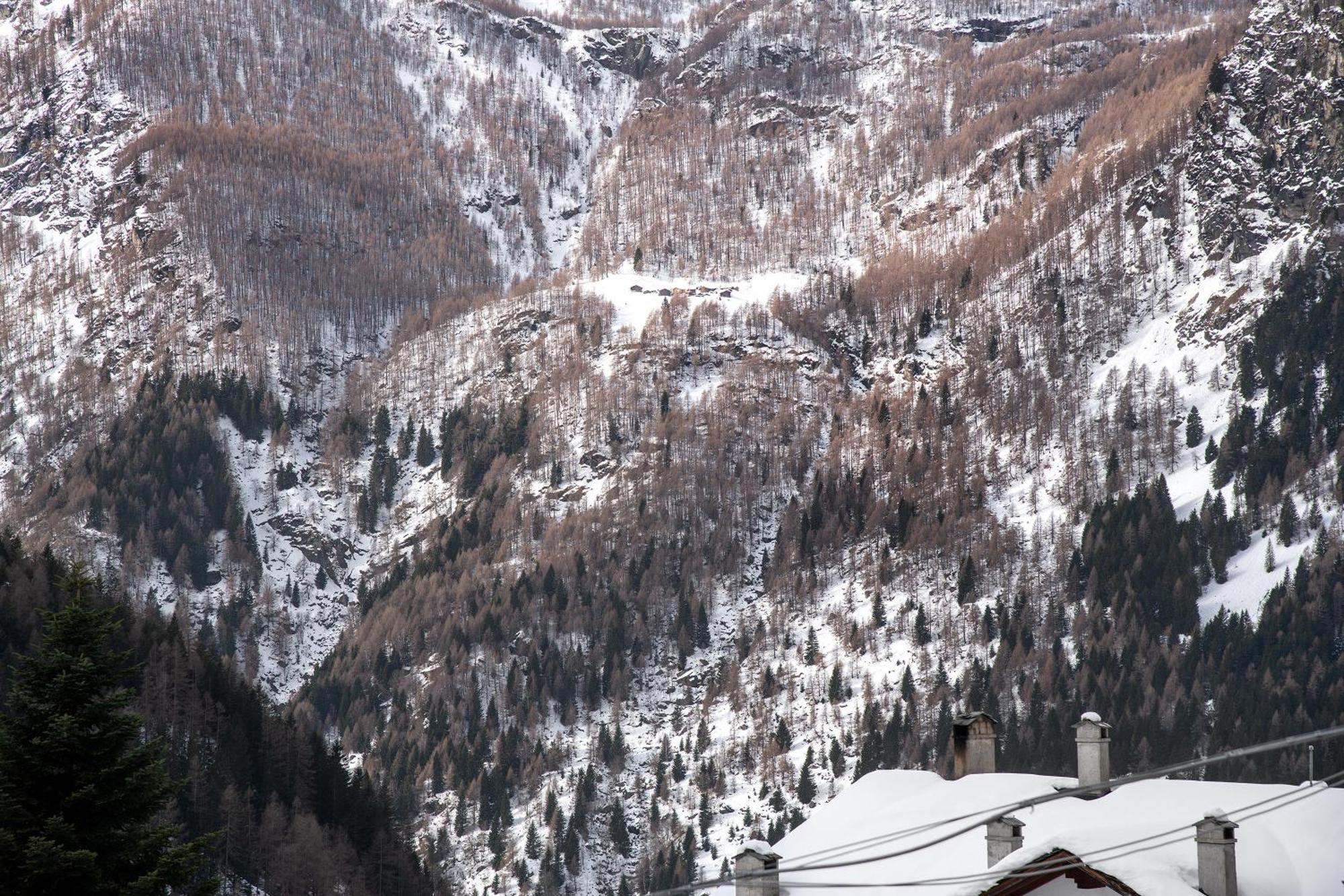 Residence Larice Bianco App N3 Campodolcino Extérieur photo